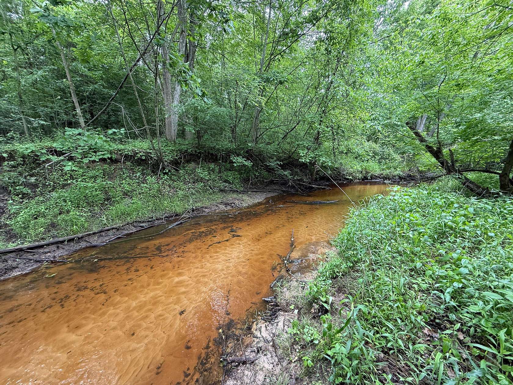 75 Acres of Recreational Land for Sale in Sanford, Michigan