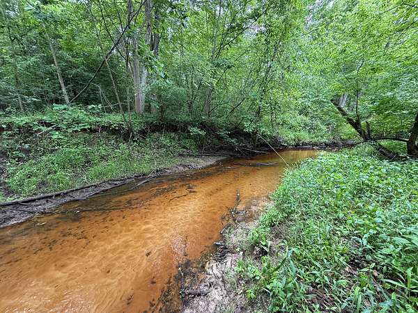 75 Acres of Recreational Land for Sale in Sanford, Michigan