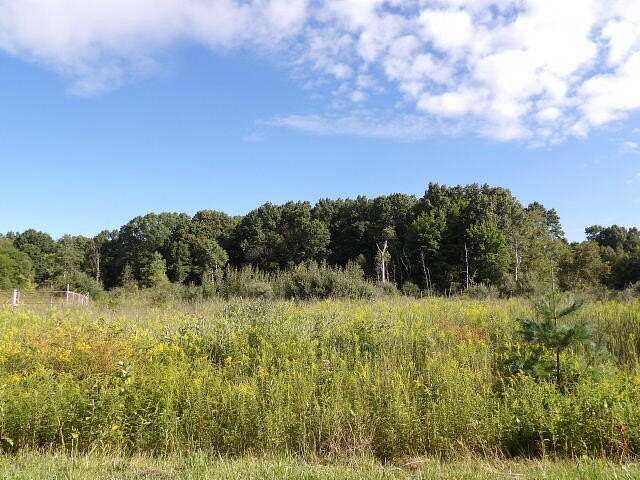 19.8 Acres of Land for Sale in Athens, Michigan