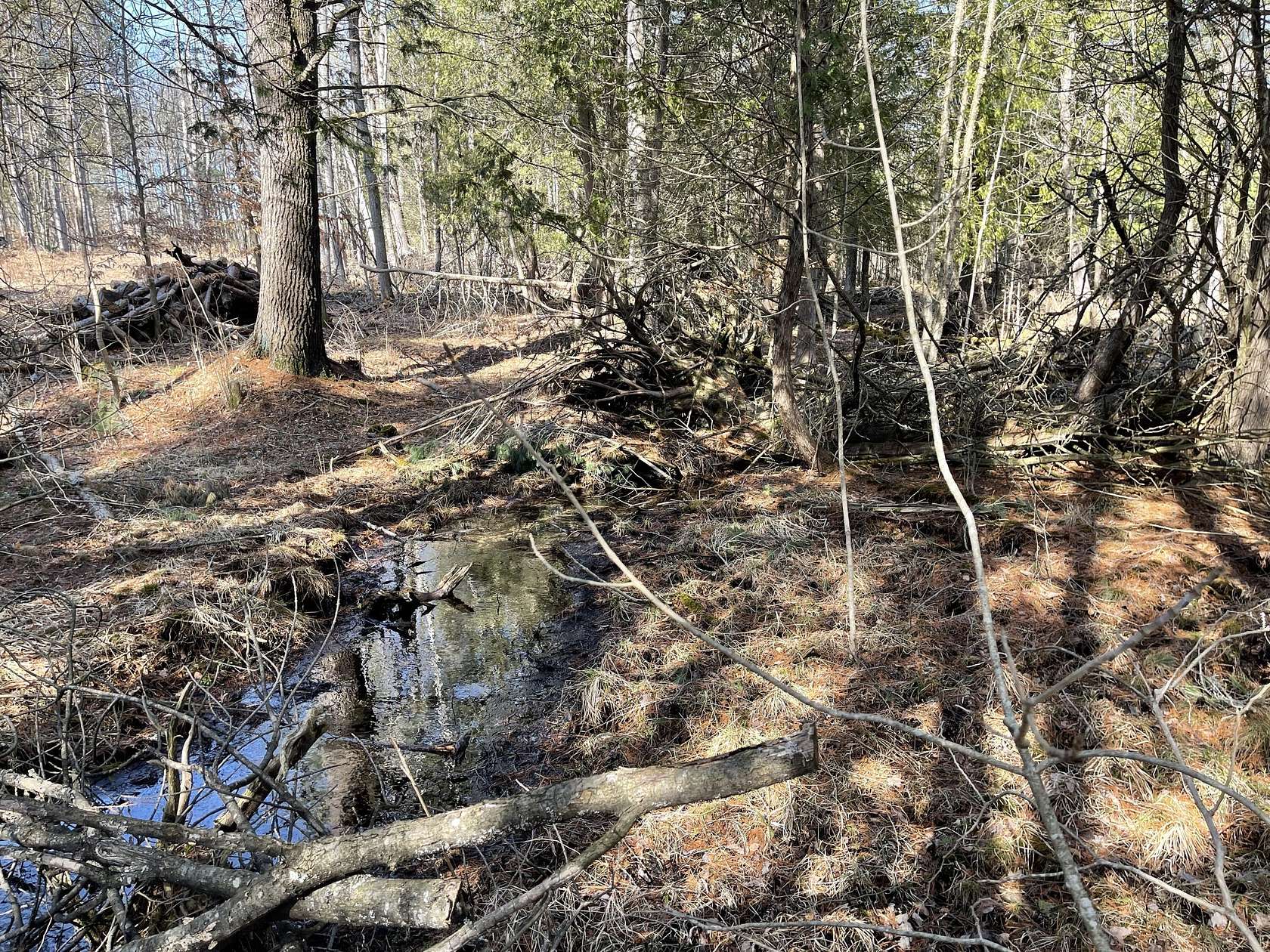 15 Acres of Recreational Land for Sale in Le Roy, Michigan