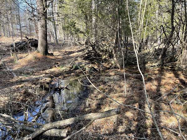 15 Acres of Recreational Land for Sale in Le Roy, Michigan