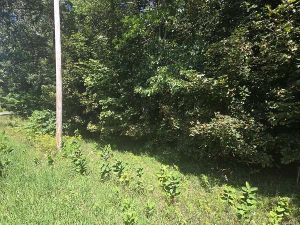 0.7 Acres of Land for Sale in Whitehall, Michigan