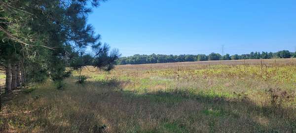 5 Acres of Land for Sale in Pentwater, Michigan