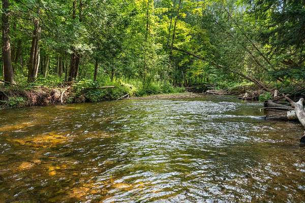 6.7 Acres of Land for Sale in East Jordan, Michigan