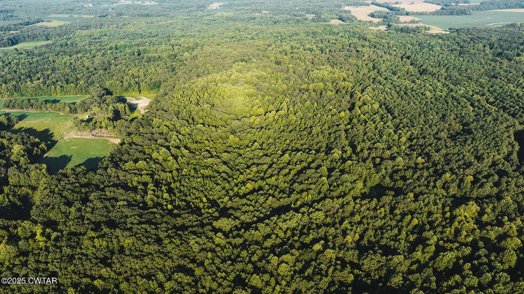 Residential Land for Sale in McKenzie, Tennessee