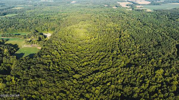 Residential Land for Sale in McKenzie, Tennessee