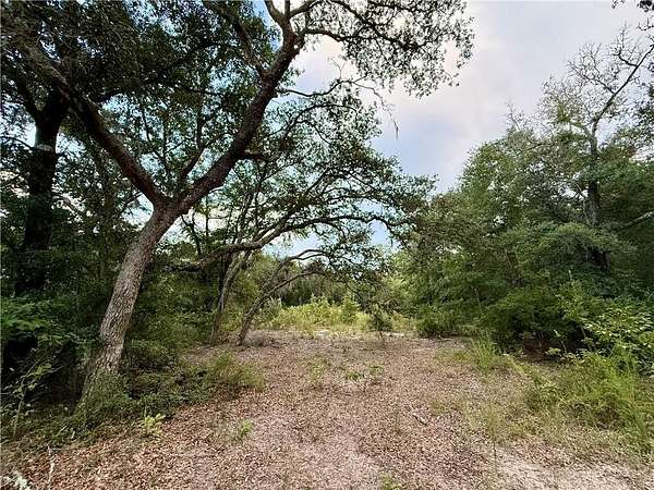 1.55 Acres of Residential Land for Sale in Blackshear, Georgia