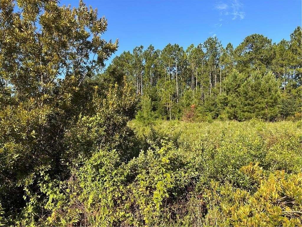 1 Acre of Residential Land for Sale in Waverly, Georgia