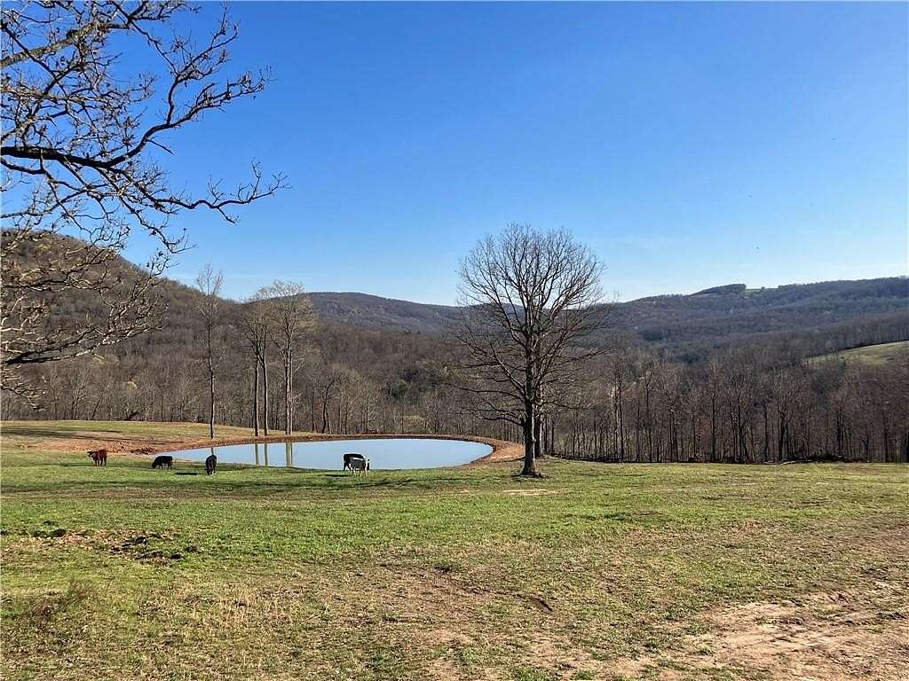 40 Acres of Land with Home for Sale in Kingston, Arkansas