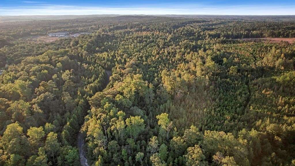 88.4 Acres of Recreational Land for Sale in Fort Gaines, Georgia