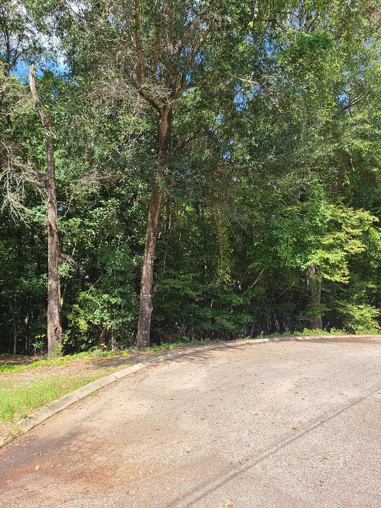 1 Acre of Residential Land for Sale in Ozark, Alabama