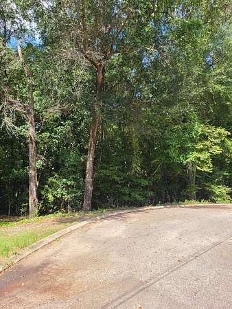 1 Acre of Residential Land for Sale in Ozark, Alabama