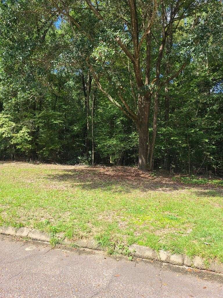 0.7 Acres of Residential Land for Sale in Ozark, Alabama