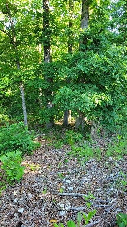 0.32 Acres of Residential Land for Sale in Bella Vista, Arkansas