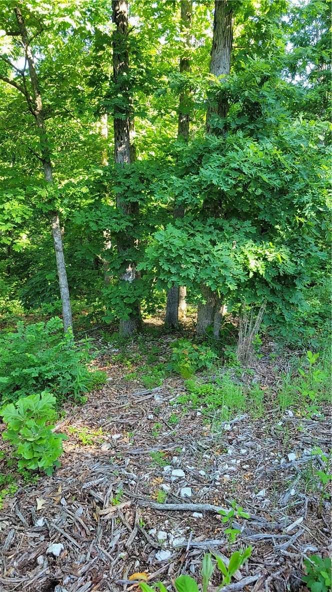 0.32 Acres of Residential Land for Sale in Bella Vista, Arkansas