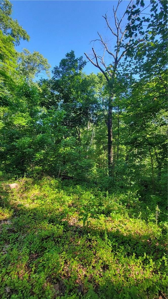 0.32 Acres of Residential Land for Sale in Bella Vista, Arkansas