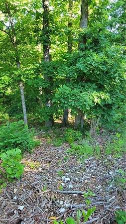 0.32 Acres of Residential Land for Sale in Bella Vista, Arkansas