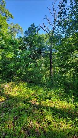 0.32 Acres of Residential Land for Sale in Bella Vista, Arkansas
