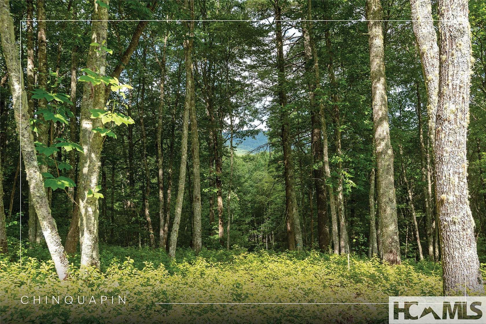 2 Acres of Residential Land for Sale in Glenville, North Carolina