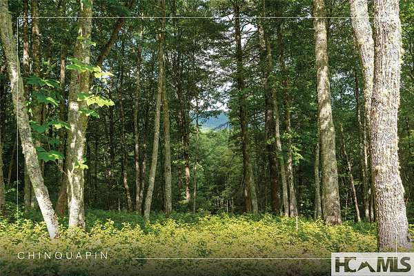 2 Acres of Residential Land for Sale in Glenville, North Carolina