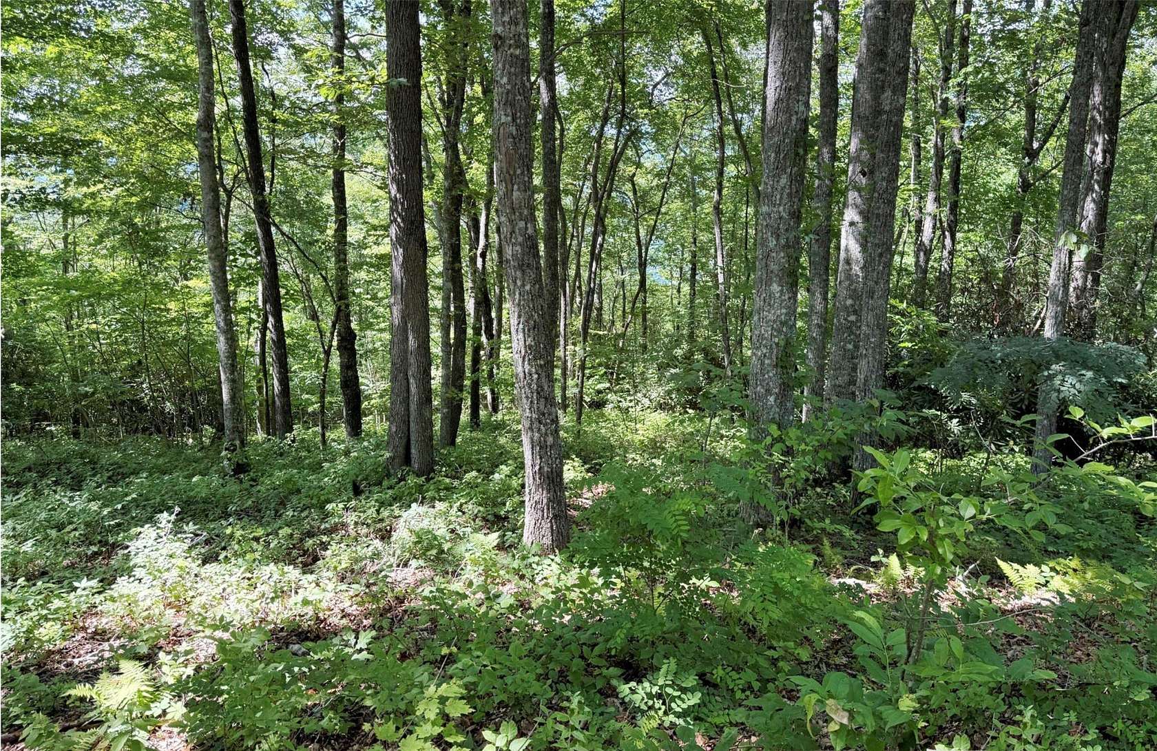 2.28 Acres of Residential Land for Sale in Tuckasegee, North Carolina