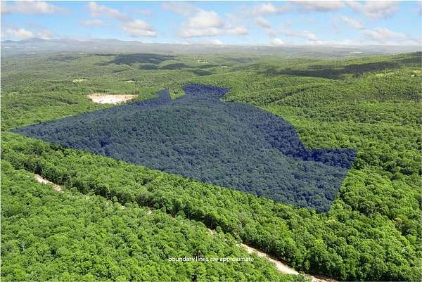 175 Acres of Recreational & Residential Land for Sale in Jasper, Arkansas