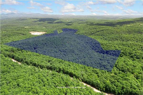 175 Acres of Recreational & Residential Land for Sale in Jasper, Arkansas