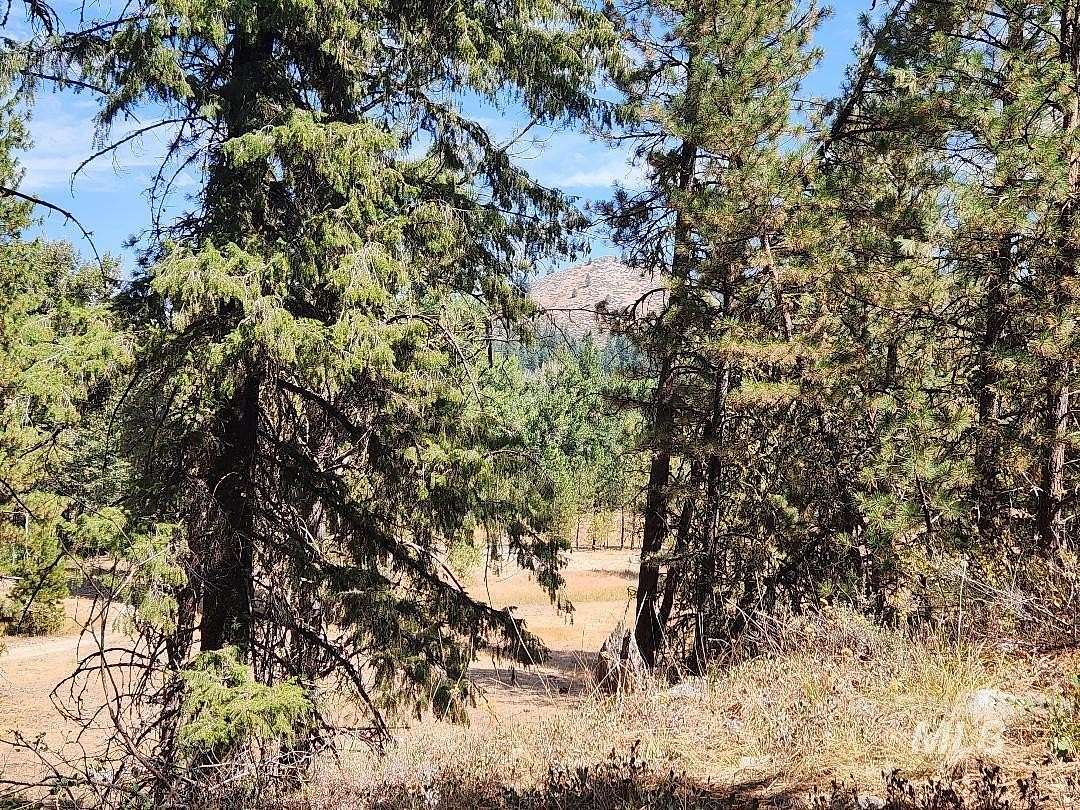 1.17 Acres of Land for Sale in Featherville, Idaho
