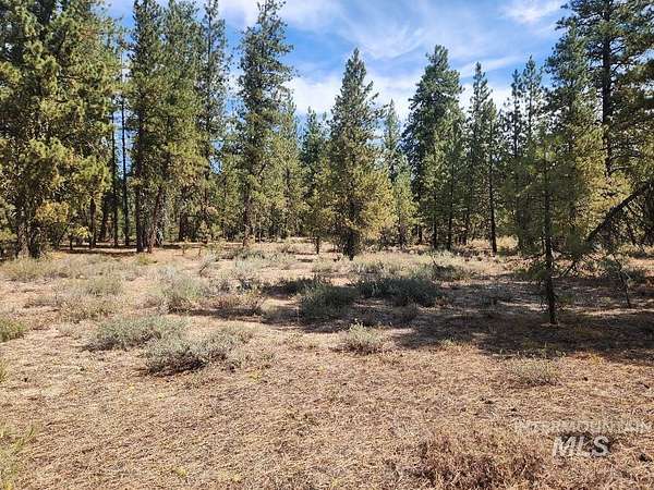 1.16 Acres of Land for Sale in Featherville, Idaho