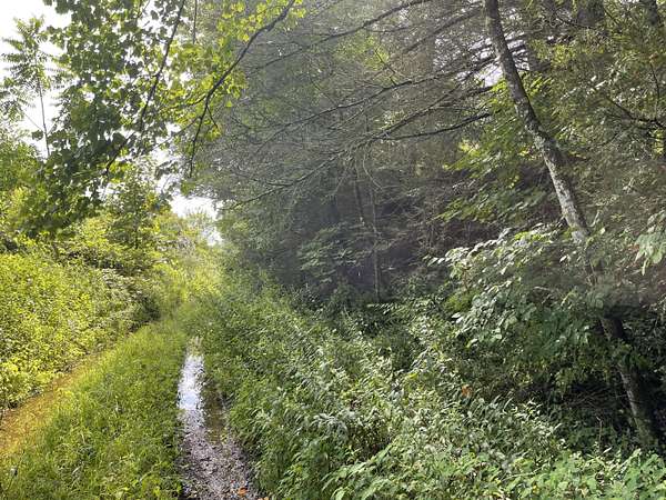 10.4 Acres of Land for Sale in Fairdale, West Virginia