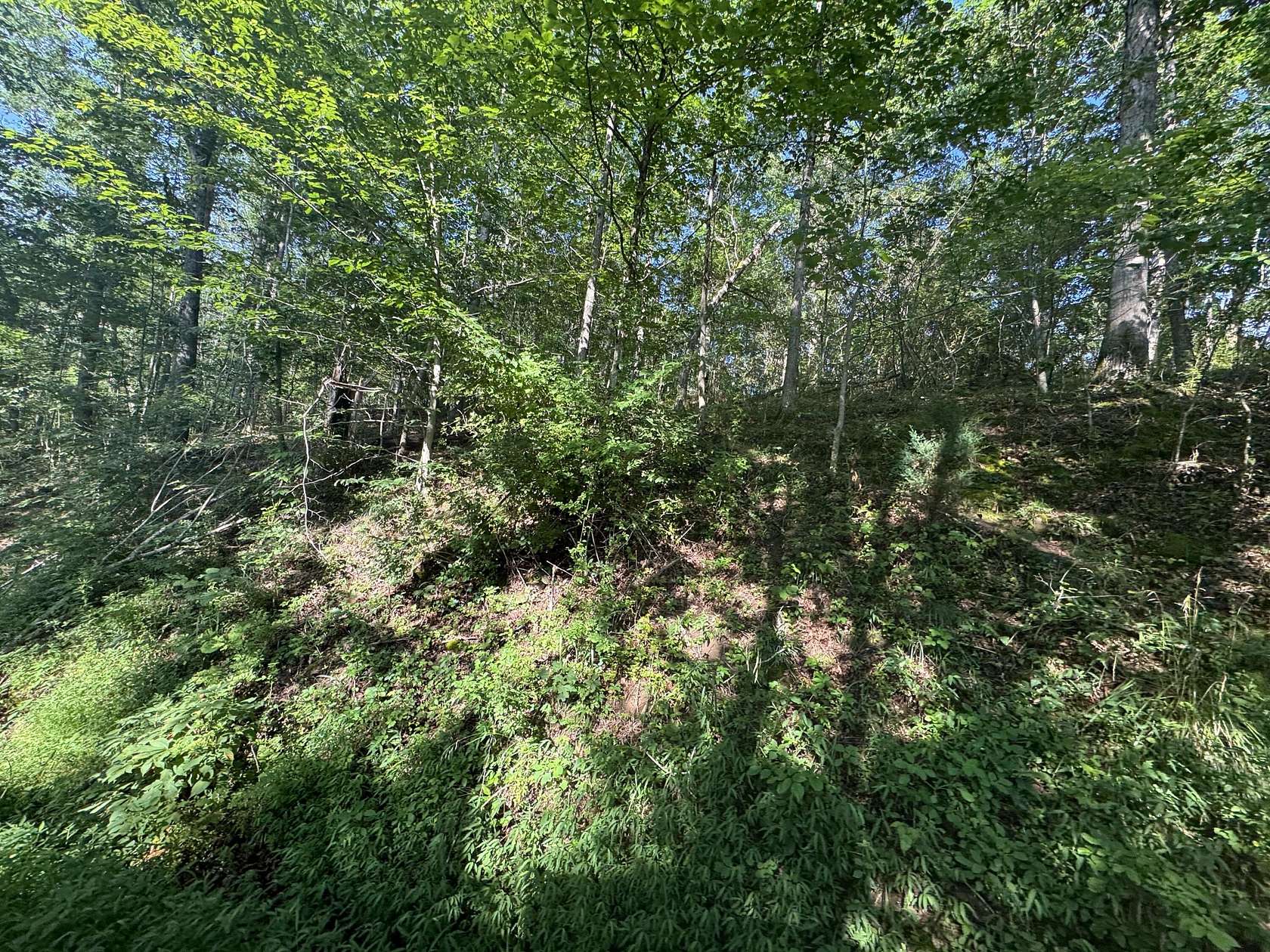 4.5 Acres of Land for Sale in Liberty, West Virginia