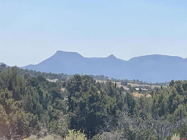 3 Acres of Land for Sale in Dolores, Colorado