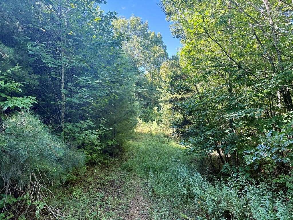 4.38 Acres of Residential Land for Sale in Topton, North Carolina