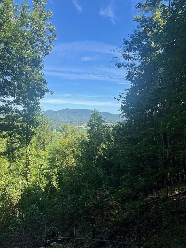12.6 Acres of Land for Sale in Franklin, North Carolina
