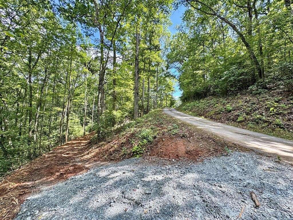 1 Acre of Residential Land for Sale in Franklin, North Carolina
