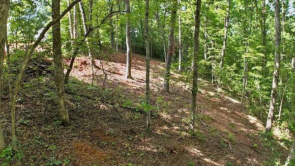 0.89 Acres of Residential Land for Sale in Franklin, North Carolina