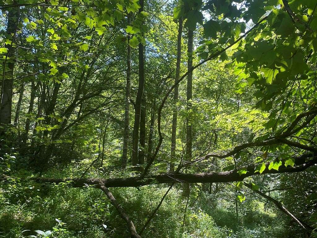 2.48 Acres of Land for Sale in Bryson City, North Carolina