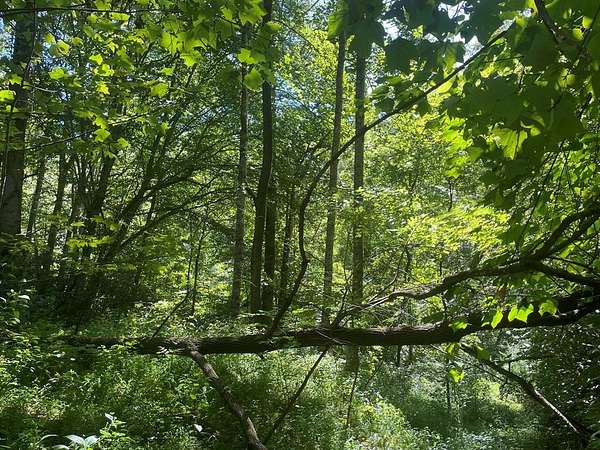 2.48 Acres of Land for Sale in Bryson City, North Carolina