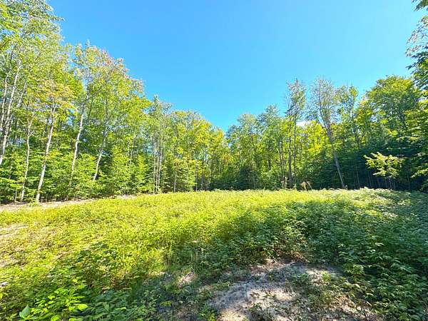 2.86 Acres of Residential Land for Sale in Eckerman, Michigan