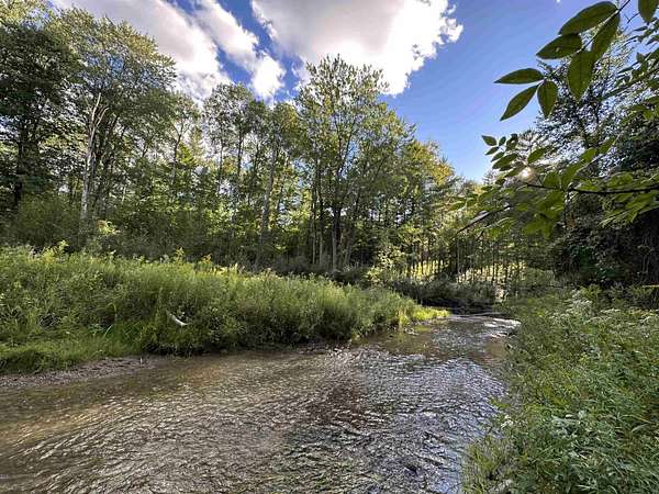 12 Acres of Recreational Land for Sale in Gladwin, Michigan