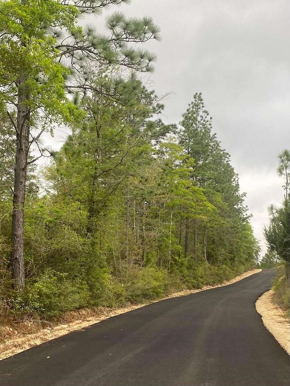 16.6 Acres of Land for Sale in Baker, Florida