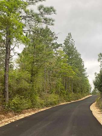 16.6 Acres of Land for Sale in Baker, Florida