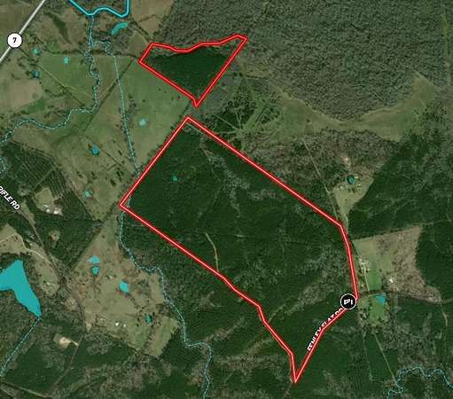 296 Acres of Recreational Land for Sale in Pollok, Texas