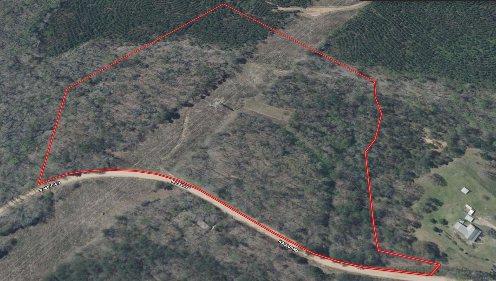 21.9 Acres of Recreational Land for Sale in Millport, Alabama