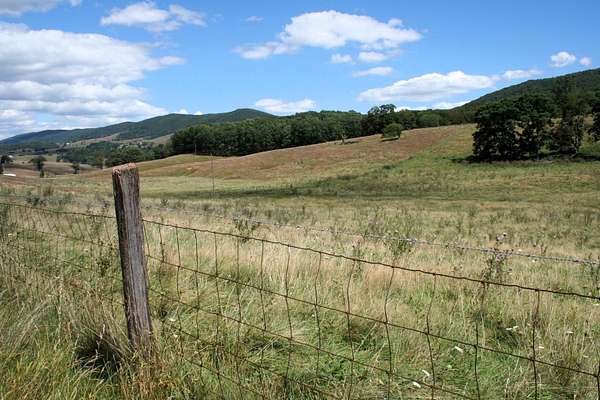 19.5 Acres of Land for Sale in Monterey, Virginia