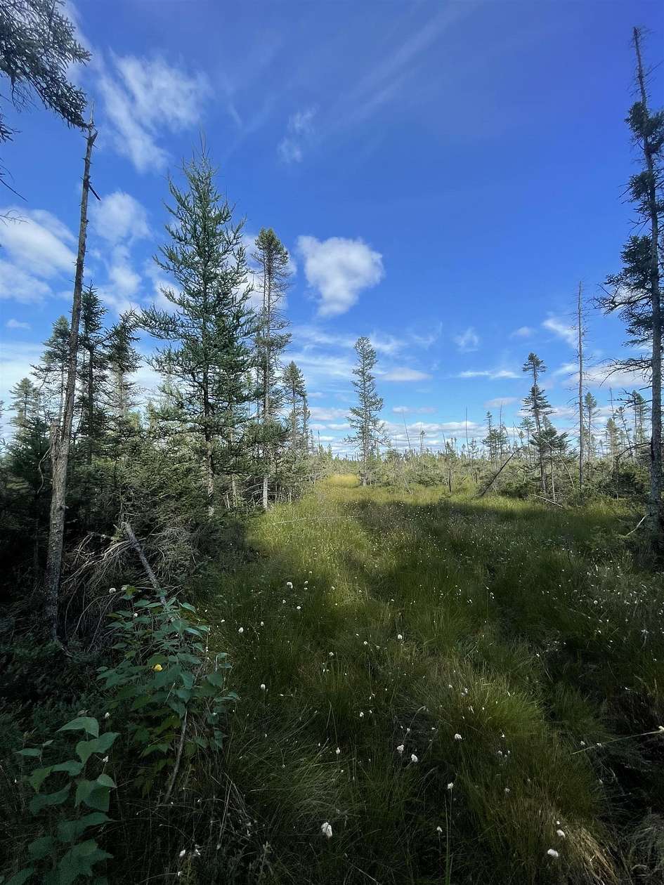 80.4 Acres of Recreational Land for Sale in Tomahawk, Wisconsin