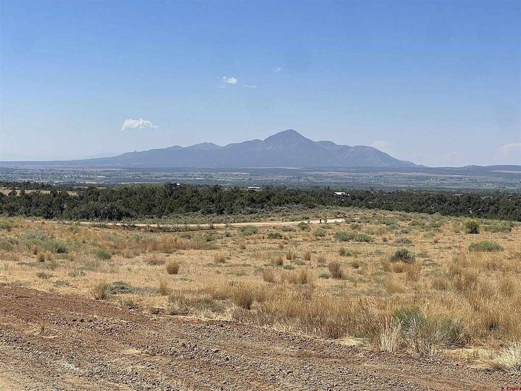 3 Acres of Land for Sale in Dolores, Colorado