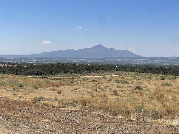 3 Acres of Land for Sale in Dolores, Colorado