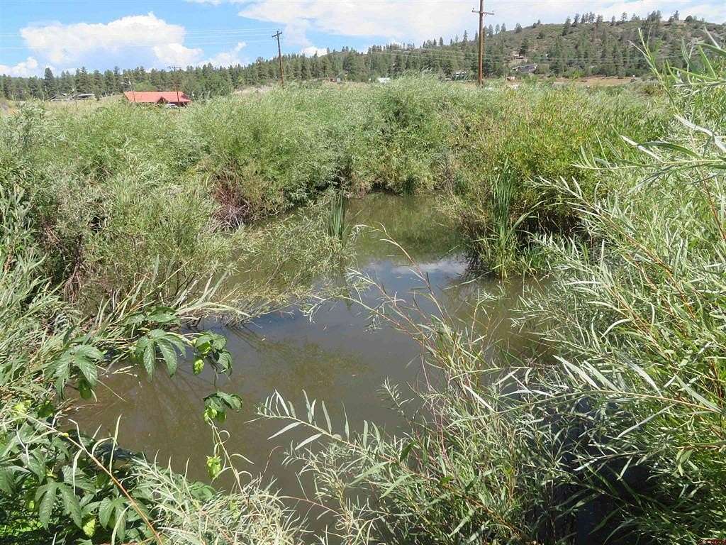 2 Acres of Residential Land for Sale in Pagosa Springs, Colorado