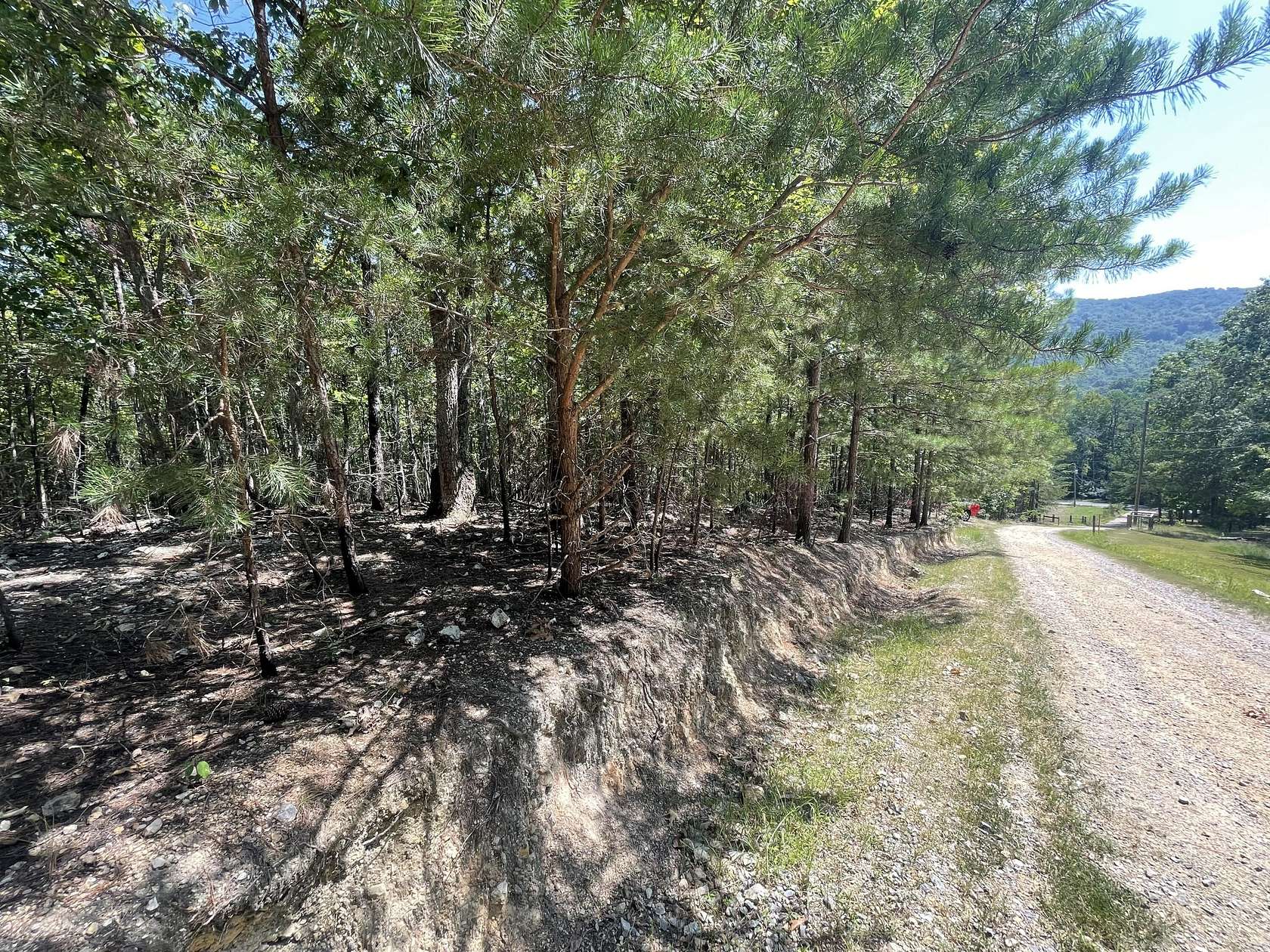 1.37 Acres of Residential Land for Sale in Summerville, Georgia